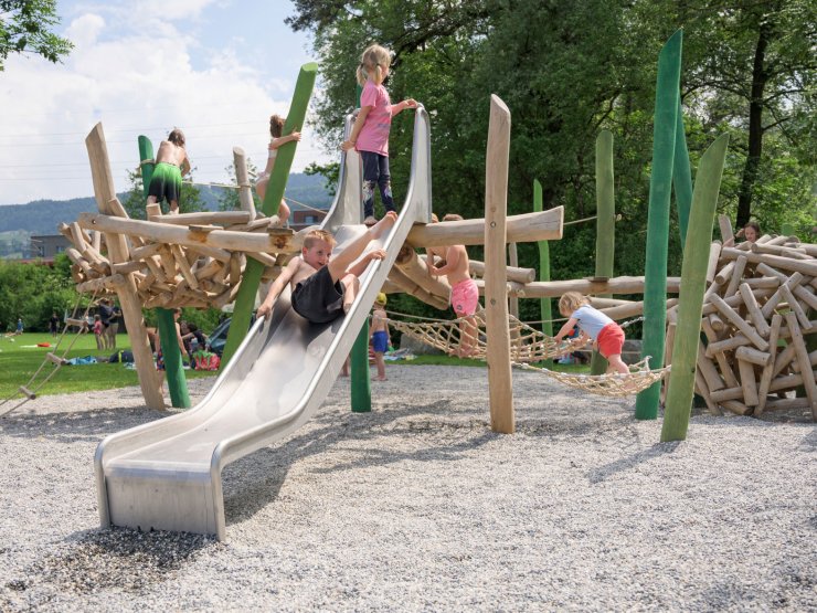 schilflandschaft und seine bewohner